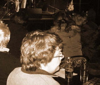 FolkPort Live