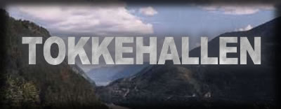 Tokkehallen - Dalen