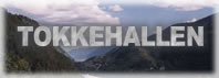 Tokkehallen - Dalen