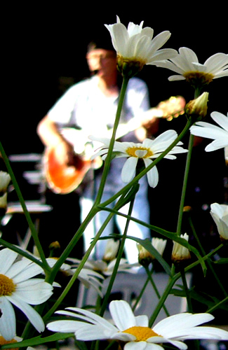 FolkPort Live
