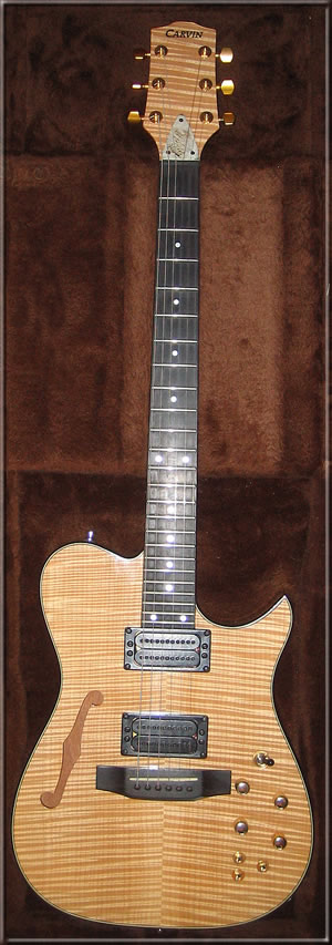 Carvin AE185