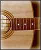 Bass