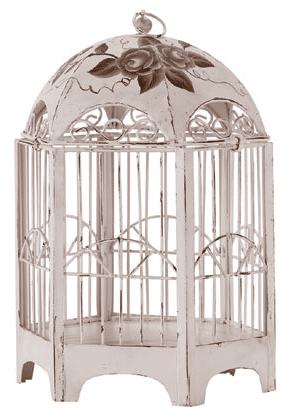 The Empty Cage