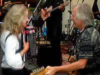 FolkPort Live