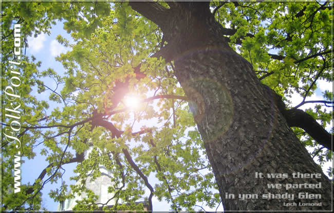 FolkPort PostCard